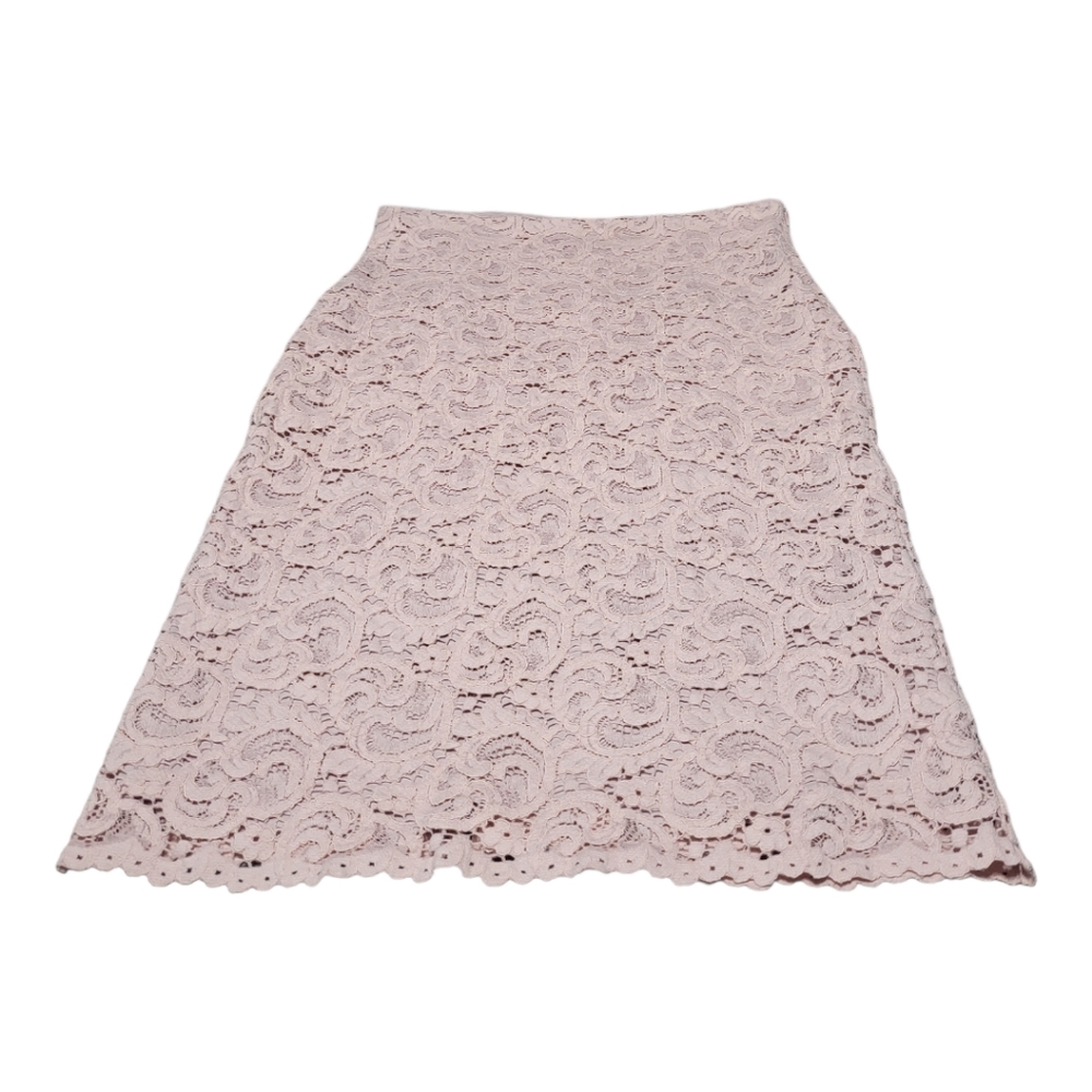 Zara Lace Knee Length Skirt